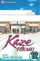 bokomslag Kaze Hikaru, Vol. 12
