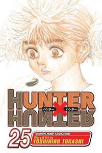 bokomslag Hunter x Hunter, Vol. 25