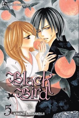 bokomslag Black Bird, Vol. 5