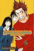 bokomslag Kimi ni Todoke: From Me to You, Vol. 5