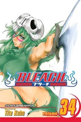 bokomslag Bleach, Vol. 34