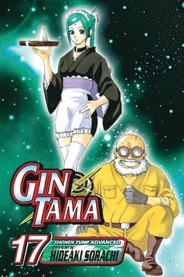 bokomslag Gin Tama, Volume 17