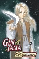 bokomslag Gin Tama, Vol. 22