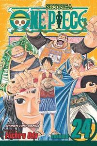 bokomslag One Piece, Vol. 24