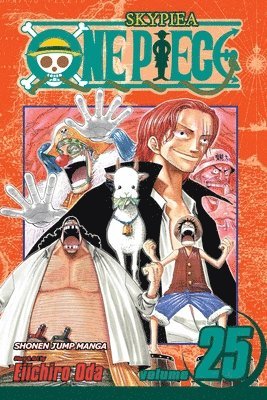 bokomslag One Piece, Vol. 25