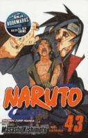 bokomslag Naruto, Vol. 43: Volume 43