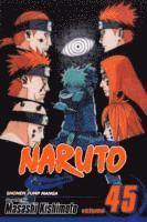 bokomslag Naruto, Vol. 45