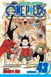 bokomslag One Piece, Vol. 43: Volume 43