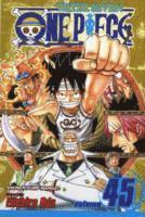 bokomslag One Piece, Vol. 45