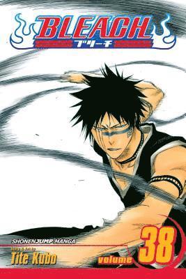 bokomslag Bleach, Vol. 38