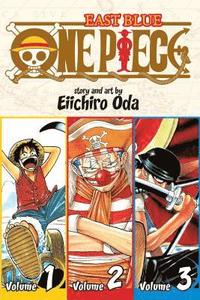 bokomslag One Piece (Omnibus Edition), Vol. 1: Includes vols. 1, 2 & 3