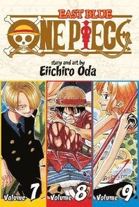 bokomslag One Piece (Omnibus Edition), Vol. 3: Includes vols. 7, 8 & 9