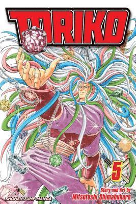 bokomslag Toriko, Vol. 5