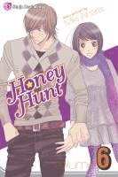 bokomslag Honey Hunt, Vol. 6