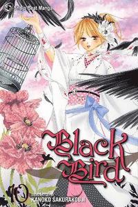 bokomslag Black Bird, Vol. 10: Volume 10