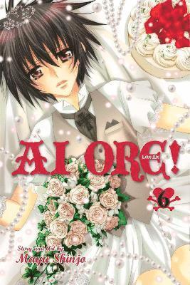 bokomslag Ai Ore!, Vol. 6: Volume 6