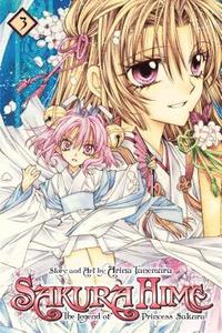 bokomslag Sakura Hime: The Legend of Princess Sakura, Vol. 3