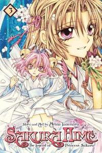 bokomslag Sakura Hime: The Legend of Princess Sakura, Vol. 3: Volume 3