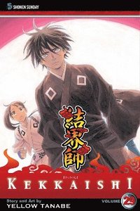 bokomslag Kekkaishi, Vol. 29: Volume 29