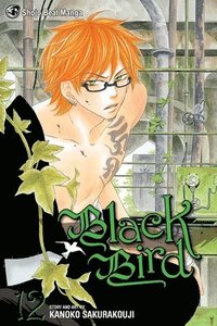 bokomslag Black Bird, Vol. 12