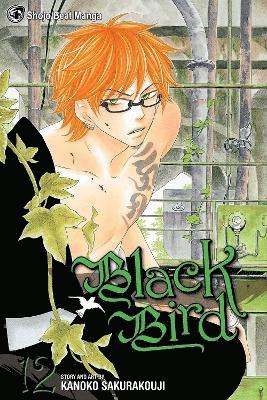 Kanoko Sakurakouji - Black Bird, Vol. 12, Häftad