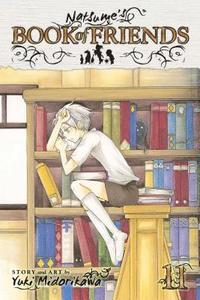 bokomslag Natsume's Book of Friends, Vol. 11: Volume 11