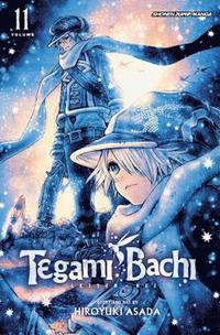bokomslag Tegami Bachi, Vol. 11