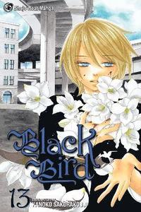 bokomslag Black Bird, Vol. 13: Volume 13