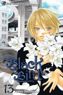 bokomslag Black Bird, Vol. 13