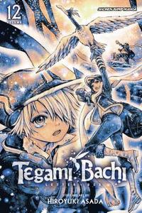 bokomslag Tegami Bachi, Vol. 12