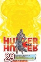 Hunter x Hunter, Vol. 29