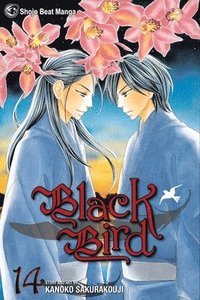 bokomslag Black Bird, Vol. 14