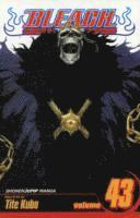 Tite Kubo - Bleach, Vol. 43, Häftad