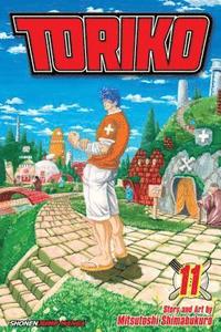 bokomslag Toriko, Vol. 11