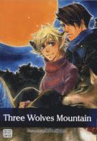 bokomslag Three Wolves Mountain