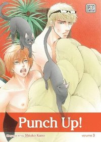 bokomslag Punch Up!, Vol. 3: Volume 3