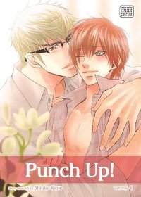 bokomslag Punch Up!, Vol. 4: Volume 4