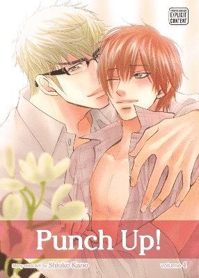 bokomslag Punch Up!, Vol. 4