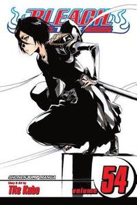 bokomslag Bleach, Vol. 54: Volume 54