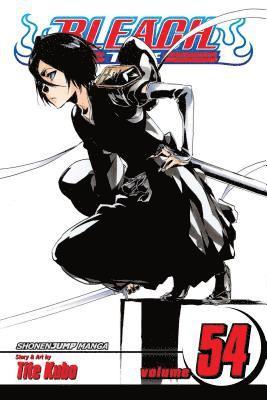 bokomslag Bleach, Vol. 54