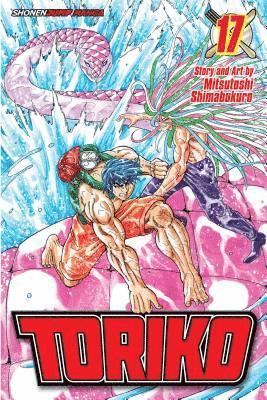 bokomslag Toriko, Vol. 17: Volume 17