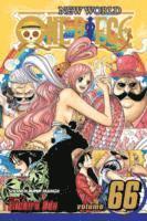 bokomslag One Piece, Vol. 66
