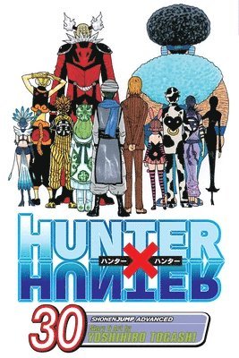 bokomslag Hunter x Hunter, Vol. 30