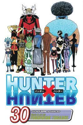 bokomslag Hunter x Hunter, Vol. 30: Volume 30