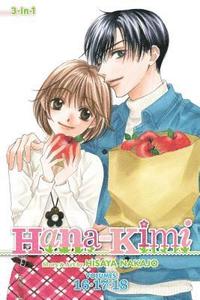 bokomslag Hana-Kimi (3-In-1 Edition), Vol. 6: Includes Vols. 16, 17 & 18