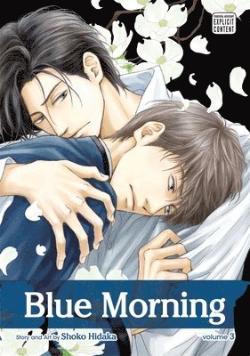 bokomslag Blue Morning, Vol. 3
