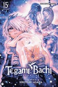 bokomslag Tegami Bachi, Vol. 15: Volume 15