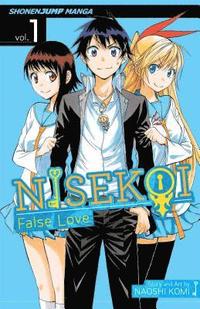 bokomslag Nisekoi: False Love, Vol. 1: Volume 1