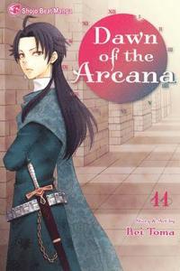 bokomslag Dawn of the Arcana, Vol. 11