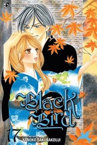 bokomslag Black Bird, Vol. 17